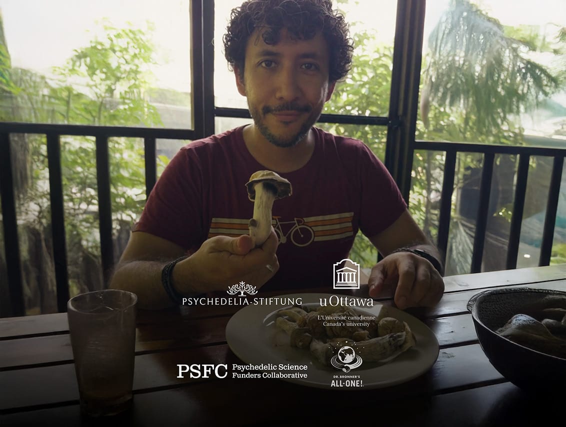 Research Retreat — in cooperation with Psychedelia-Stiftung, uOttawa, PSFC
